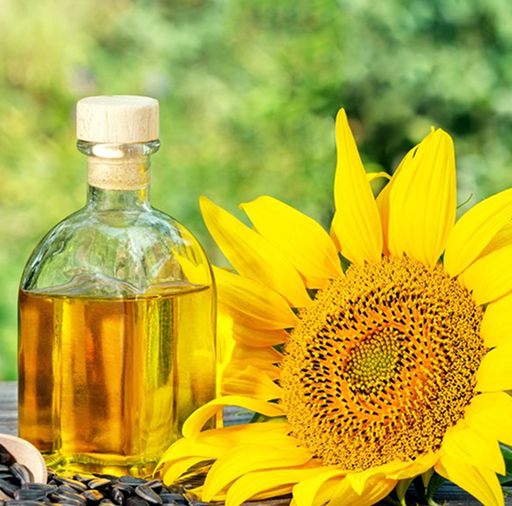 Sunflower Oil