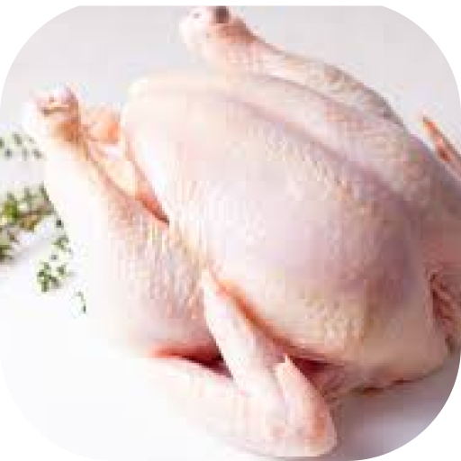 Whole Chicken (Fresh)